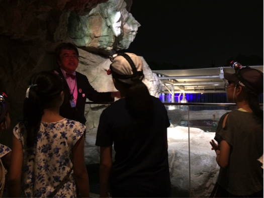 京都水族館のナイトツアーで、下村館長から夜の生き物の様子について解説していただきました。